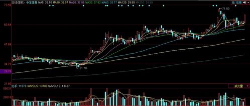 中國(guó)軟件板塊走強(qiáng)，中孚信息漲停引領(lǐng)計(jì)算機(jī)軟件行業(yè)發(fā)展