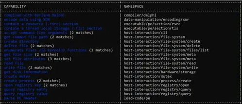 一小時攻陷 Cobalt Strike與NetWalker勒索軟件家族深度分析與防御策略
